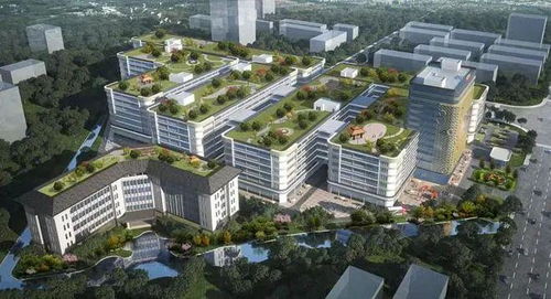 江門迎來企業(yè)投資熱潮，實業(yè)興城正當(dāng)時